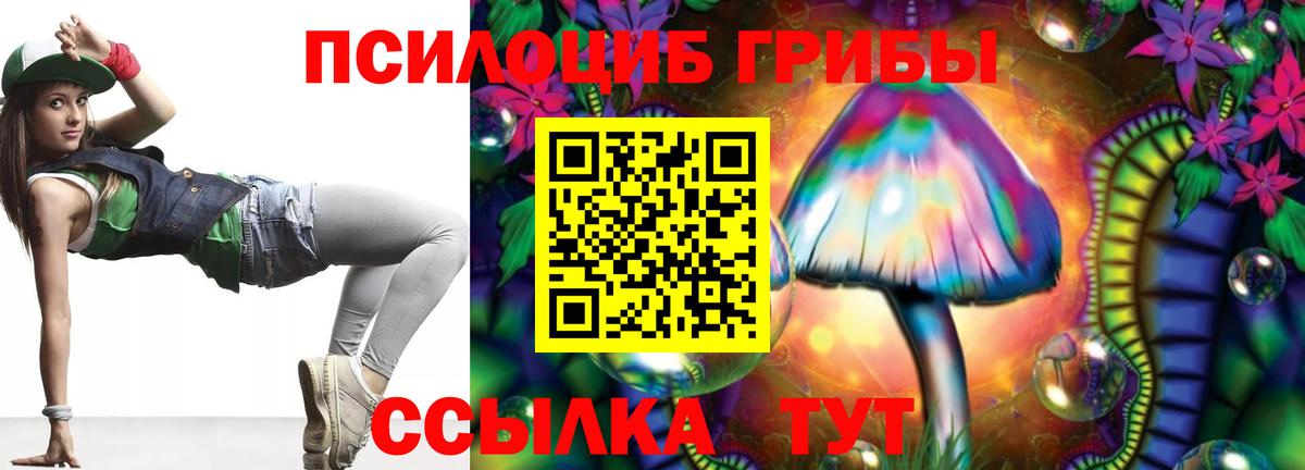 Ачхой-Мартан  Галлюциногенные грибы MAGIC MUSHROOMS  Вход с VPN  Галлюциногенные грибы мухоморы 